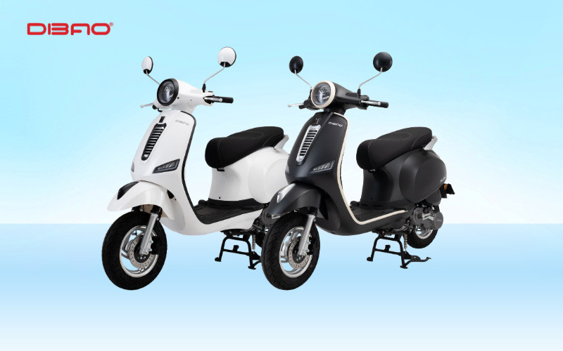 Xe máy điện Dibao Pansy Tesla X